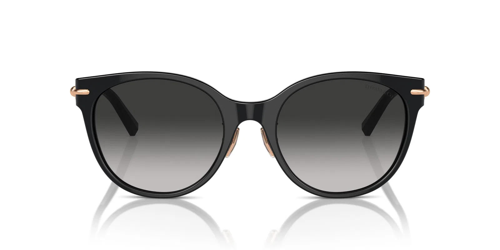 Tiffany 4223D Sunglasses - view 18